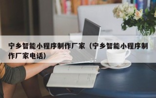 商水宁乡智能小程序制作厂家（宁乡智能小程序制作厂家电话）